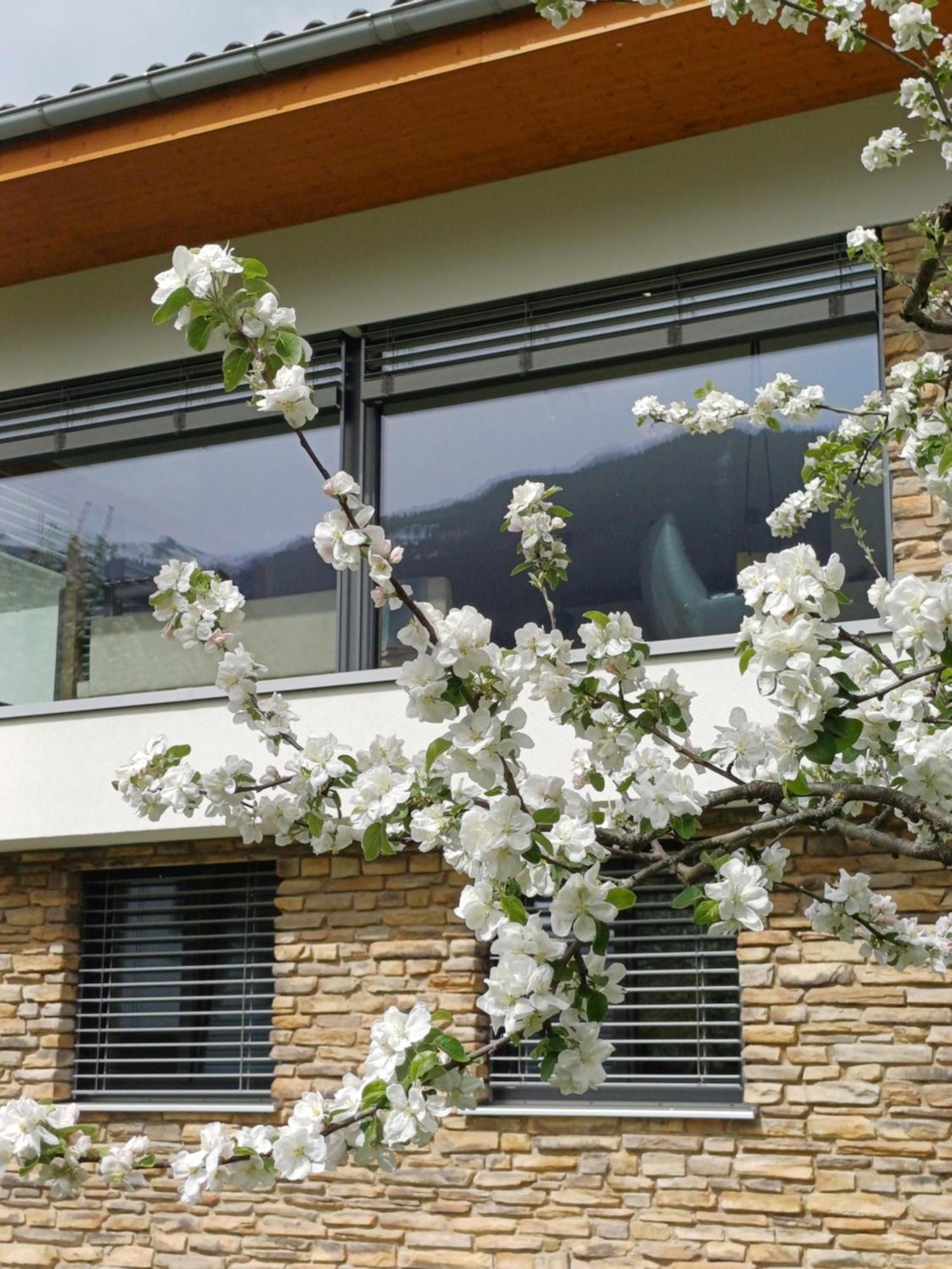 Ferienhaus Raich Vandans Exteriör bild